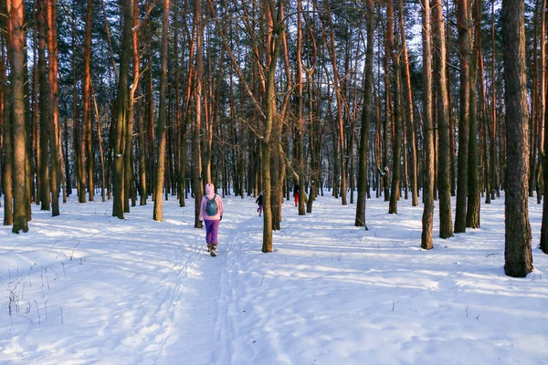 Winterlandschap met een naaldhout bos — Stockfoto