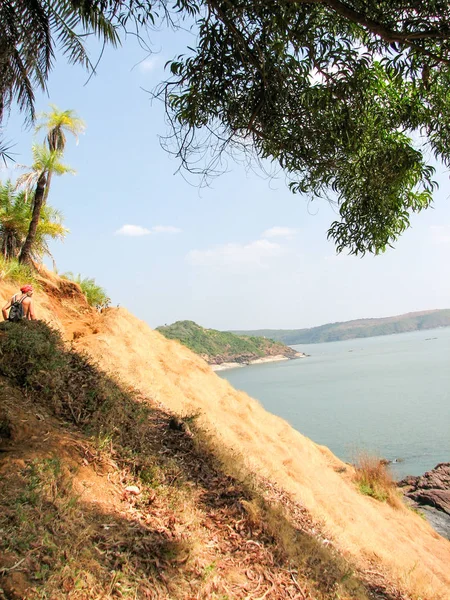 Costa del Océano con piedras y cocoteros . — Foto de Stock