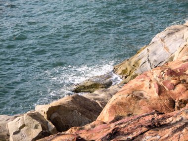 Taşlar ve Hindistan cevizi palmiye ağaçları ile okyanus Sahili.