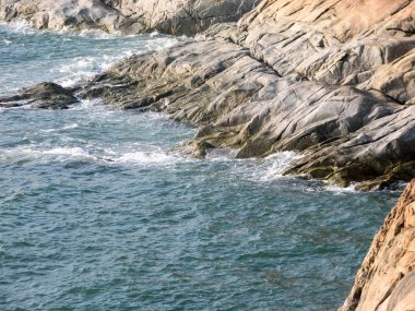 Taşlar ve Hindistan cevizi palmiye ağaçları ile okyanus Sahili.
