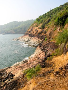 Taşlar ve Hindistan cevizi palmiye ağaçları ile okyanus Sahili.