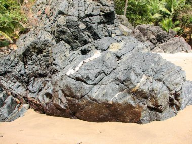 Taşlar ve Hindistan cevizi palmiye ağaçları ile okyanus Sahili.