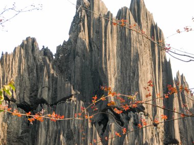 Kaya oluşumları Yana Karnataka, Hindistan. Büyük kaya