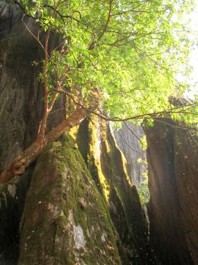 Kaya oluşumları Yana Karnataka, Hindistan. Büyük kaya