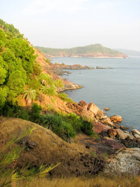 Costa del Océano con piedras y cocoteros . — Foto de Stock