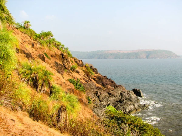 Costa do Oceano com pedras e coqueiros . — Fotografia de Stock