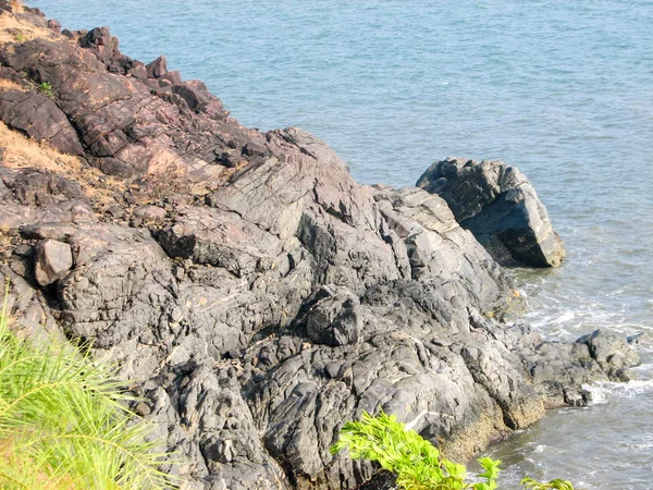 Costa del Océano con piedras y cocoteros . —  Fotos de Stock