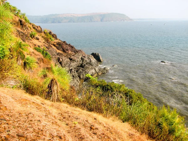 Costa del Océano con piedras y cocoteros . — Foto de Stock