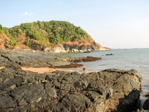 Costa del Océano con piedras y cocoteros . — Foto de Stock