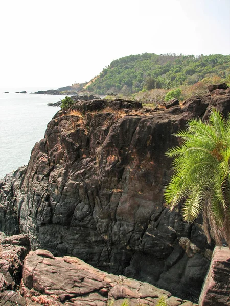 Costa do Oceano com pedras e coqueiros . — Fotografia de Stock