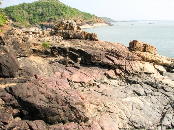 Costa del Océano con piedras y cocoteros . — Foto de Stock