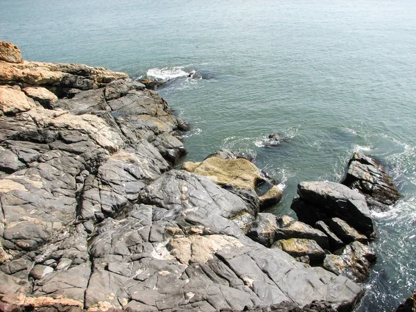 石とヤシの木と海の海岸. — ストック写真