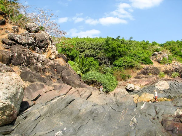 Küste des Ozeans mit Steinen und Kokospalmen. — Stockfoto