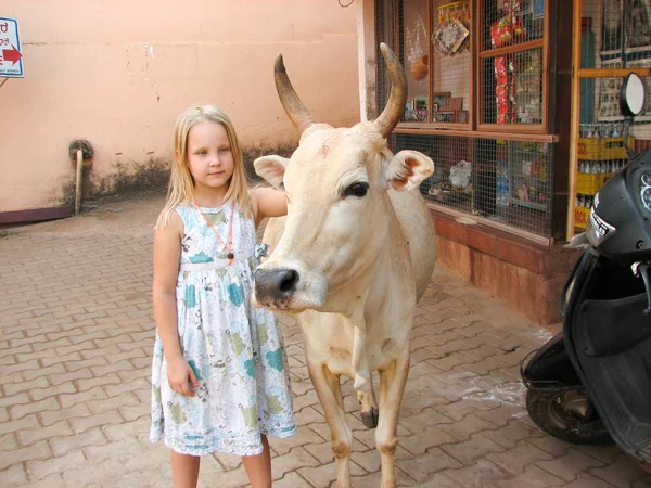 Little girl beautiful cow