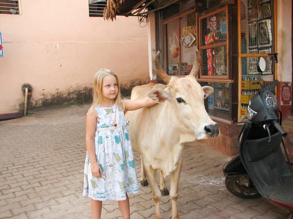 Little girl beautiful cow
