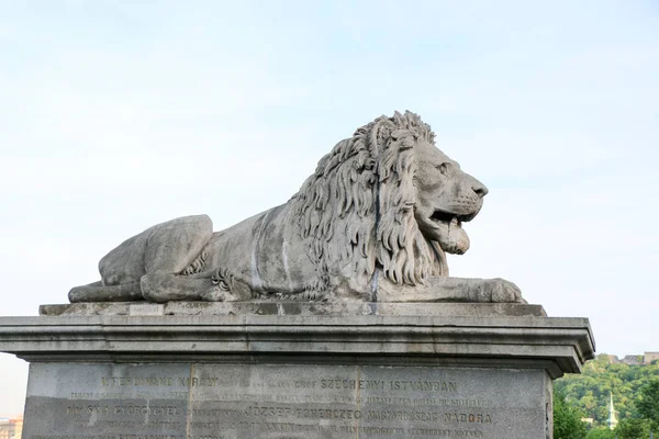 Ardından Tuna nehrini ünlü zincir köprü. Aslan heykeli. — Stok fotoğraf