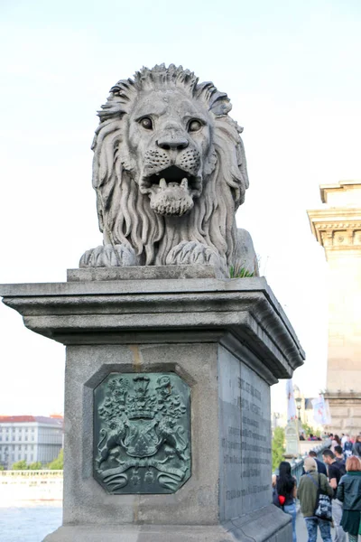 Ardından Tuna nehrini ünlü zincir köprü. Aslan heykeli. — Stok fotoğraf