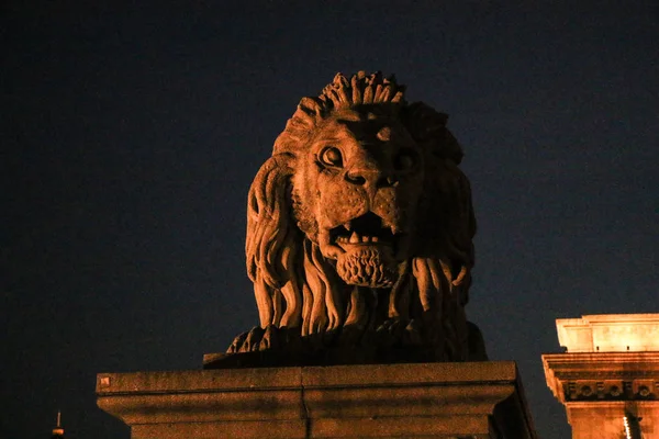 Le célèbre pont de la chaîne sur le Danube à Budapest, Hongrie, Europe. Statue de lion . — Photo