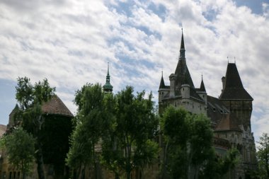 Vajdahunyad Castle güzel güneş ışığı ile
