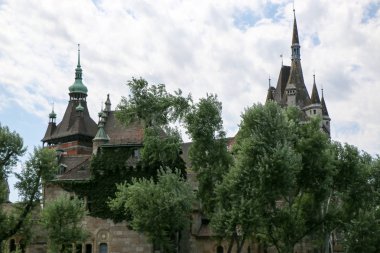 Vajdahunyad Castle güzel güneş ışığı ile
