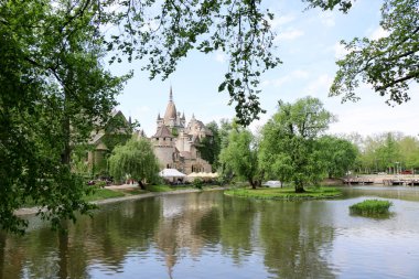 Vajdahunyad Castle güzel güneş ışığı ile