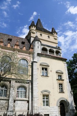 Vajdahunyad Castle güzel güneş ışığı ile