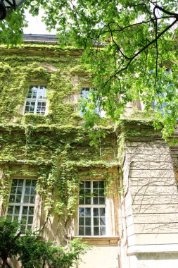 Vajdahunyad Castle güzel güneş ışığı ile