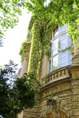 Vajdahunyad Castle güzel güneş ışığı ile