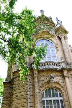 Vajdahunyad Castle güzel güneş ışığı ile