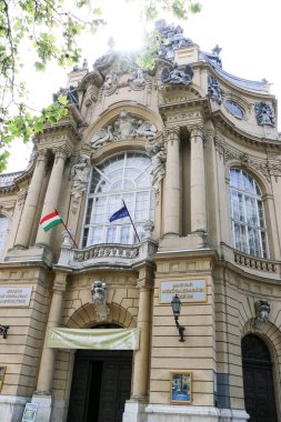 Vajdahunyad Castle güzel güneş ışığı ile