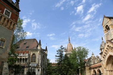 Vajdahunyad Castle güzel güneş ışığı ile