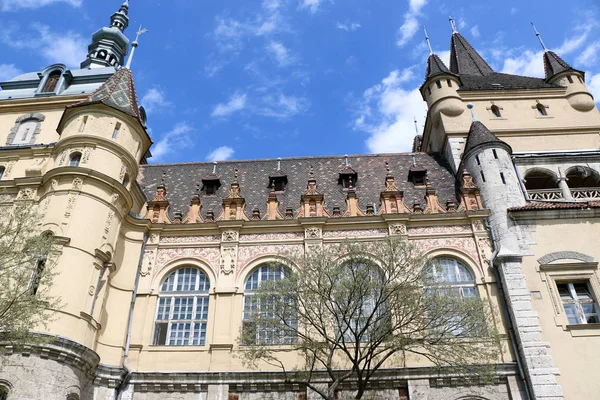 Vajdahunyad Burg mit schönem Sonnenlicht — Stockfoto