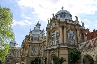 Vajdahunyad Castle güzel güneş ışığı ile