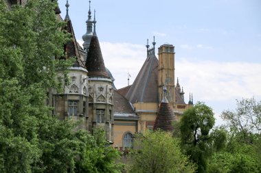 Vajdahunyad Castle güzel güneş ışığı ile