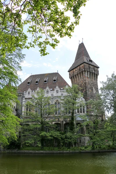 Vajdahunyad Burg mit schönem Sonnenlicht — Stockfoto