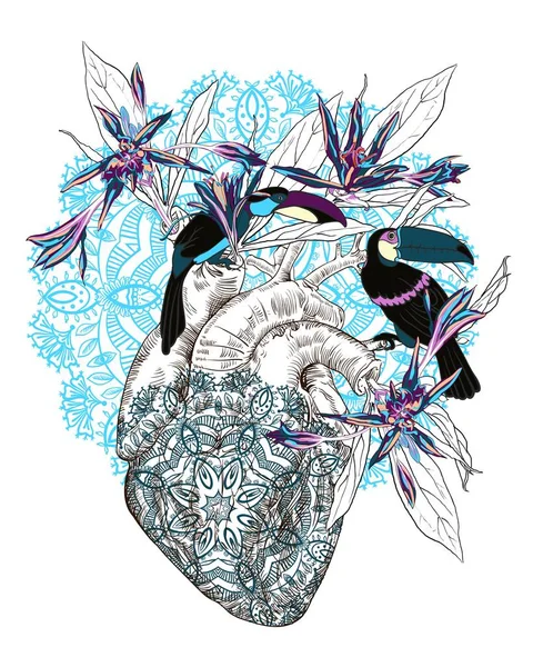 Vector drawing Human anatomical heart with flowers — Stock vektor