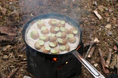 Üzüm salyangozları, akhatina, kırmızı bir tabakta, ham yiyecek, turşuluk ve lezzetli bir Burgundy salyangozu, midye, Fransız mutfağı olarak. Salyangozlar, ormanda açık bir ateşin üzerinde tuzla birlikte tavada kızartılır.