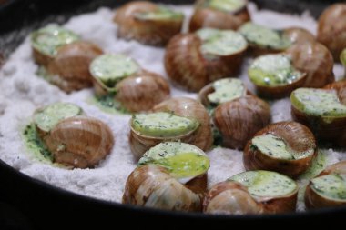 Üzüm salyangozları, akhatina, kırmızı bir tabakta, ham yiyecek, turşuluk ve lezzetli bir Burgundy salyangozu, midye, Fransız mutfağı olarak. Salyangozlar, ormanda açık bir ateşin üzerinde tuzla birlikte tavada kızartılır.