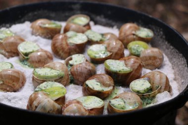 Üzüm salyangozları, akhatina, kırmızı bir tabakta, ham yiyecek, turşuluk ve lezzetli bir Burgundy salyangozu, midye, Fransız mutfağı olarak. Salyangozlar, ormanda açık bir ateşin üzerinde tuzla birlikte tavada kızartılır.