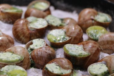 Üzüm salyangozları, akhatina, kırmızı bir tabakta, ham yiyecek, turşuluk ve lezzetli bir Burgundy salyangozu, midye, Fransız mutfağı olarak. Salyangozlar, ormanda açık bir ateşin üzerinde tuzla birlikte tavada kızartılır. görüntüyü kapat