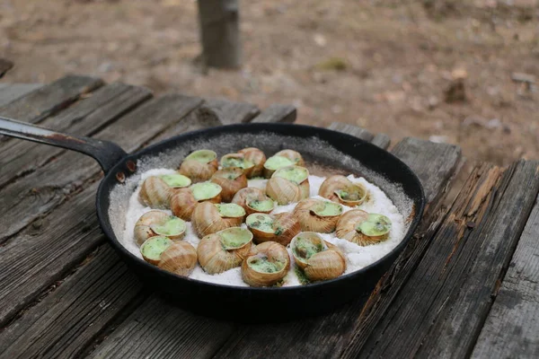 Druivenslakken Akhatina Een Rode Plaat Als Grof Voedsel Een Rawisme — Stockfoto