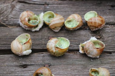 Üzüm salyangozları, akhatina, kırmızı bir tabakta, ham yiyecek, turşuluk ve lezzetli bir Burgundy salyangozu, midye, Fransız mutfağı olarak. Eski ahşap tahtaların arkaplanındaki görüntüyü kapat