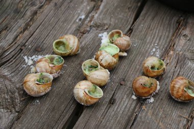 Üzüm salyangozları, akhatina, kırmızı bir tabakta, ham yiyecek, turşuluk ve lezzetli bir Burgundy salyangozu, midye, Fransız mutfağı olarak. Eski ahşap tahtaların arkaplanındaki görüntüyü kapat