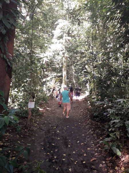 Florest, tiere im botanischen garten in recife, brasilien — Stockfoto