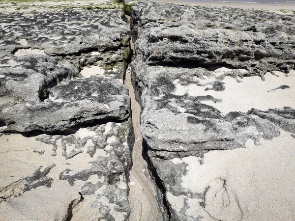 Rocks at the beach of Pernambuco, Brazil — Stock Photo, Image