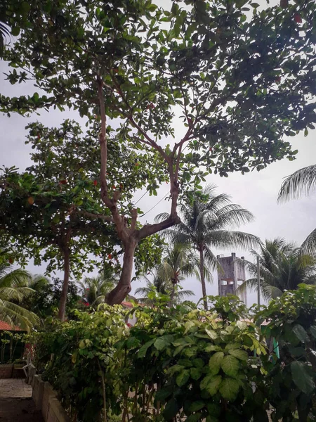 Casa Grande en la playa de Carneiro, Pernambuco, Brasil . — Foto de Stock