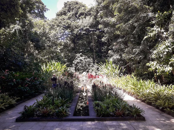 Florest, animals at Botanic Garden in Recife, Brazil — Stock Photo, Image