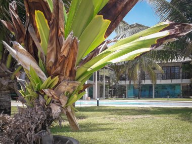 İnsanlar Porto de Galinhas, Pernambuco, Brezilya sahillerinde yürüyor.