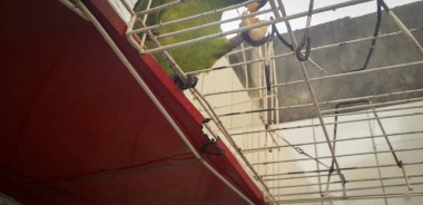 Kafesteki Brezilya papağanı. Recife 'de bu yaygındır. Brezilya 'nın tipik kuşu.