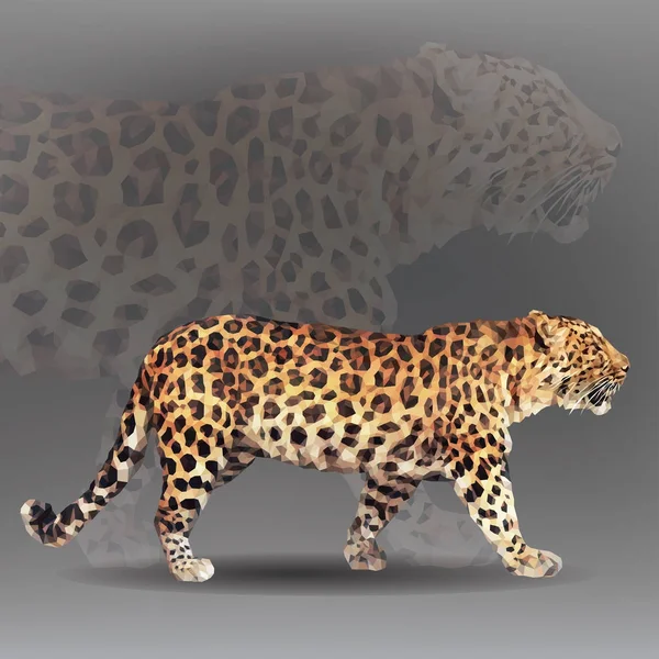 Leopard Geometrycznym Stylu — Wektor stockowy